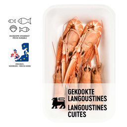 Langoustines | Gekookt | MAP